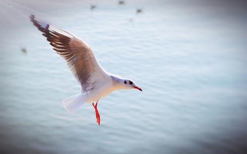 1508811081553588.jpg 下载 (1).jpg