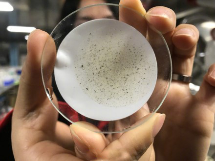 1515632409888587.jpg ftAY-fyqnick4790719.jpg