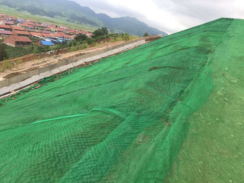 三維植草網 綠化植草網 護坡植草網 三維立體植草網護坡專用