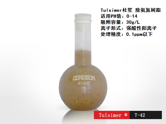 T-42除氨氮选择性特种树脂渗滤液膜后除氨氮矿井水深度脱氮