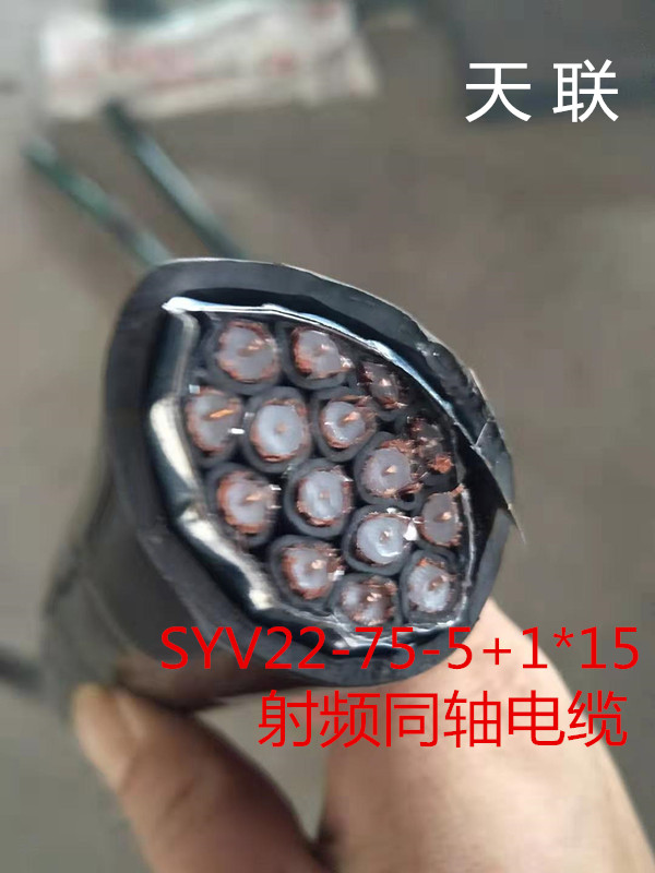 天津SYV-75-12射頻同軸電纜視頻線廠家基地