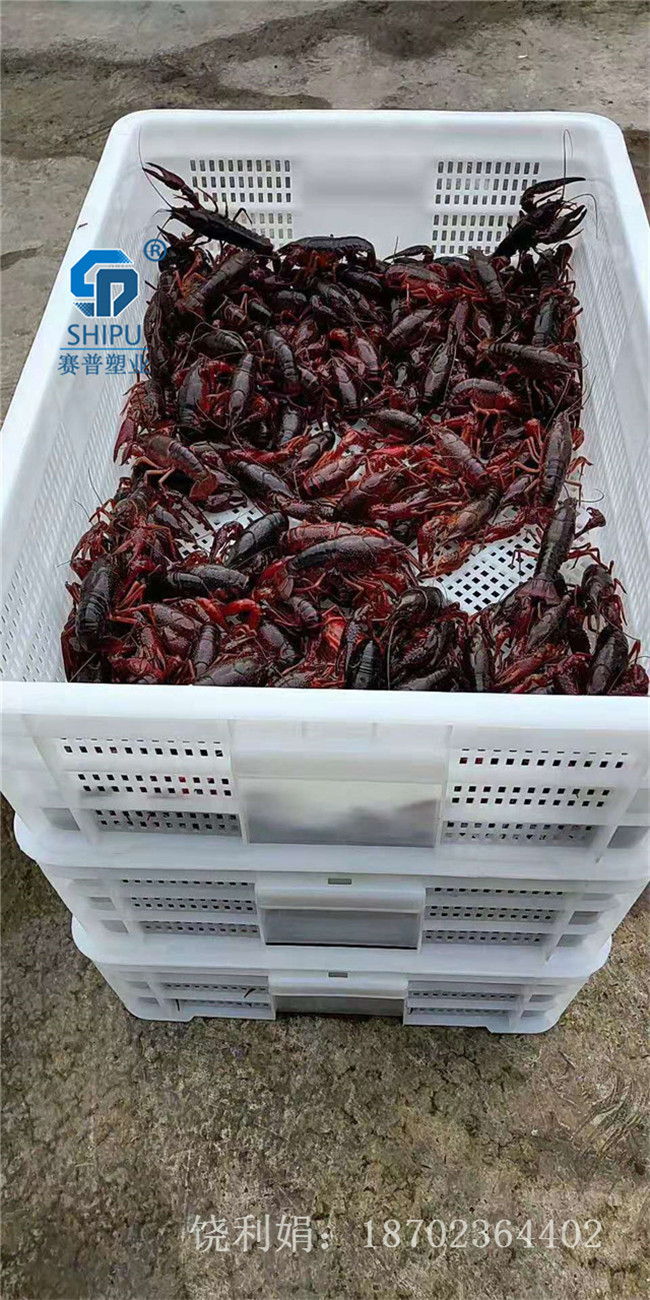 阿壩塑料周轉(zhuǎn)筐服裝收納筐廠家直銷