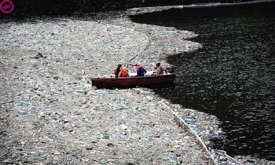 文章1-14- 太平洋垃圾帶塑料垃圾達7.9萬噸.jpg