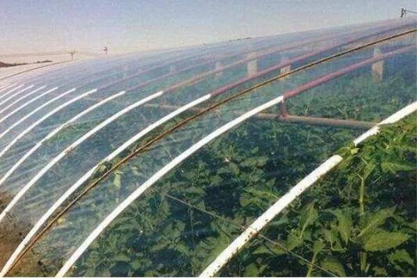 文章15-重庆市将新建510个废弃农膜回收站点 .jpg